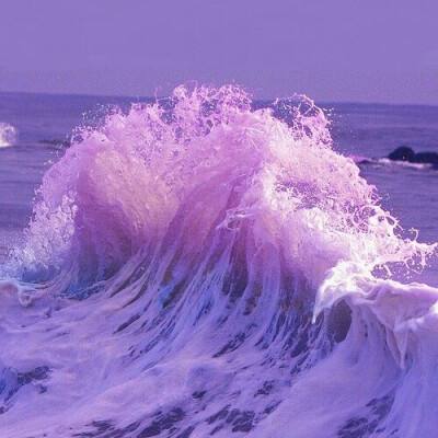 江湖求生(测试服)